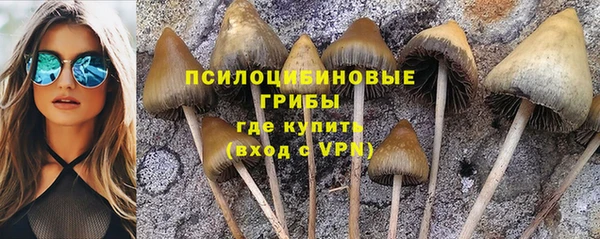 MDMA Бутурлиновка