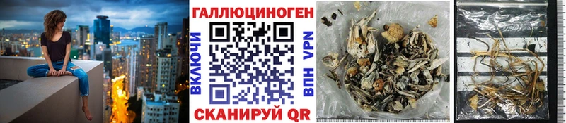 Псилоцибиновые грибы Cubensis  Светлоград 