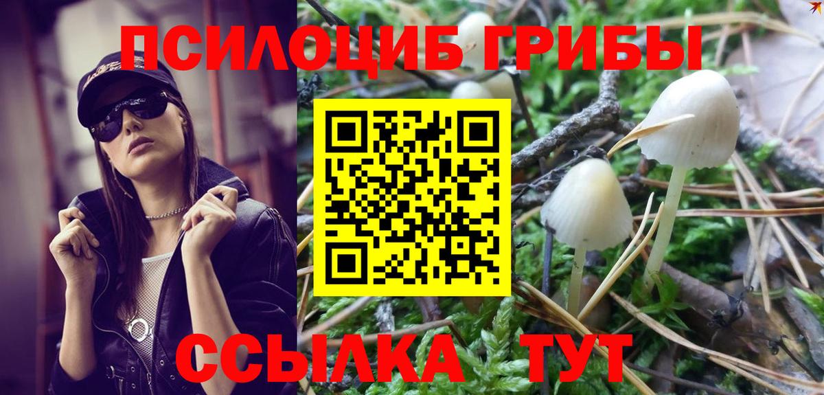 наркота  Псилоцибиновые грибы ЛСД  Вход с VPN  Галлюциногенные грибы ЛСД  Светлоград 