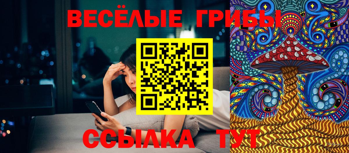 Галлюциногенные грибы Cubensis Светлоград
