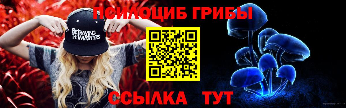 Галлюциногенные грибы прущие грибы Светлоград