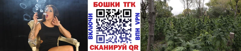 Конопля гибрид Светлоград